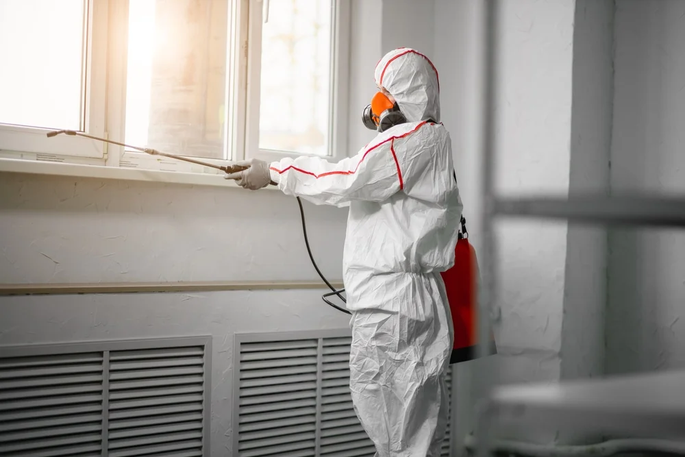 Professional mold remediation services in Lancaster, NH